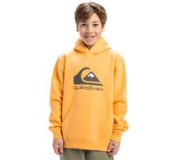 Quiksilver Garçon Big Logo Hoodie Youth Pull-Over, Chamois, 14 Ans EU