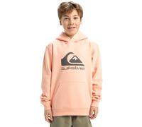 Quiksilver Garçon Big Logo Hoodie Youth Pull-Over, Peach Parfait, 12 Ans EU