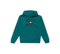 Quiksilver Garçon Big Logo Hoodie Youth Pull-Over, Teal Green, 12 Ans EU