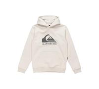 Quiksilver Garçon Big Logo Hoodie Youth Pull-Over, Wind Chime, 10 Ans EU