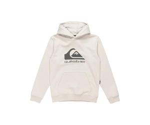 Quiksilver Garçon Big Logo Hoodie Youth Pull-Over, Wind Chime, 8 Ans EU