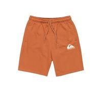 Quiksilver Garçon Easy Day Jogger Short Youth Survêtement, Bran, 16 Ans EU