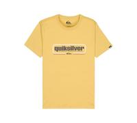 Quiksilver Garçon Ev Box Shaped T-Shirt, Rattan, 12 Ans EU