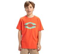 Quiksilver Garçon Ev Locked Up YTH T-Shirt, Tigerlily, 14 Ans EU