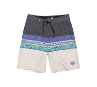 Quiksilver Garçon Everyday Panel YTH 17 Maillot De Bain, Global Heat Dusted Peri - Pmg6, 12 Ans EU