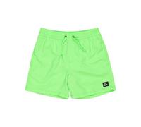 Quiksilver Garçon Everyday Solid Volley YTH 14 Maillot De Bain, Green Gecko, 16 Ans EU