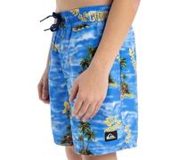 Quiksilver Garçon Everyday Straight Volley Yth14 Maillot De Bain, Coronet Blue Naturama, 16 Ans EU