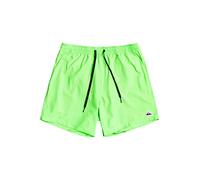 Quiksilver Garçon Everyday Volley Youth 13 Maillot de bain, Green Gecko, 12 ans EU