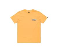 Quiksilver Garçon Evo Aqua Wild YTH T-Shirt, Chamois, 10 Ans EU