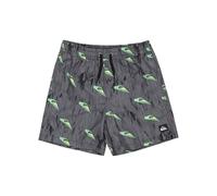 Quiksilver Garçon Next Gen Volley YTH 14 Maillot De Bain, Black Roots, 10 Ans EU