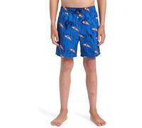 Quiksilver Garçon Next Gen Volley YTH 14 Maillot De Bain, Estate Blue Roots, 10 Ans EU