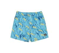 Quiksilver Garçon Next Gen Volley YTH 14 Maillot De Bain, Marine Blue Roots, 8 Ans EU