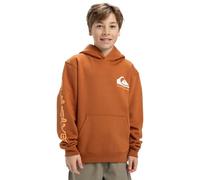 Quiksilver Garçon Omni Logo Hoodie Youth Pull-Over, Bran, 10 Ans EU