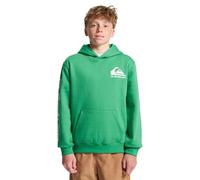 Quiksilver Sweat à capuche Omni Logo Hoodie Garçon 10 ans Vert leprechaun