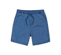 Quiksilver Garçon Taxer Youth Shorts, Estate Blue, 10 Ans EU