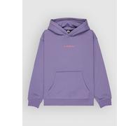 Quiksilver Graphic Hero Kids Sweat à capuche T10