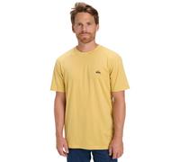 Quiksilver Homme Basic Tee Young T-Shirt, Rattan, S EU