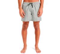 Quiksilver Homme Everyday Deluxe Volley 15 Maillot De Bain, Grape Leaf, M EU