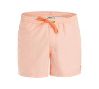 Quiksilver Homme Everyday Deluxe Volley 15 Maillot De Bain, Melon, XL EU