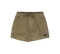 Quiksilver Homme Everyday Surfwash Volley 15 Maillot De Bain, Aloe, XS EU
