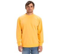 Quiksilver Homme Salt Water Crew Sweater, Chamois, XXL EU