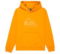 Quiksilver - Kid's Comp Logo Hoodie - Sweat à capuche - 16 - mineral yellow