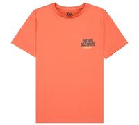 Quiksilver - Kid's Fruits Tide S/S - T-shirt - 170/176 - desert sand