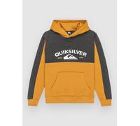 Quiksilver Knowledge Area Kids Sweat à capuche marron T10