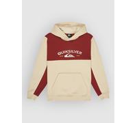 Quiksilver Knowledge Area Kids Sweat à capuche T10