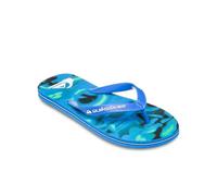 Quiksilver Molokai Art 25 Sandales pour Homme, Estate Blue BIOPHILIA, 45 EU, Estate Blue Biophilia, 45