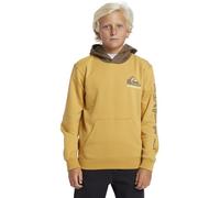 Quiksilver Omni Logo Hoodie Youth Pullover Sweater, Fall Leaf, 16 Ans Boy's