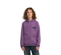 Quiksilver Omni Logo - Kapuzenpulli - 16 - Lila