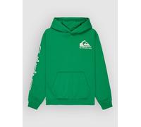 Quiksilver Pull en Polaire Omni Logo Hoodie Youth Garçon 8-16 Ans Vert