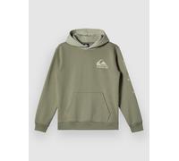Quiksilver Omni Logo Kids Sweat à capuche vert T16