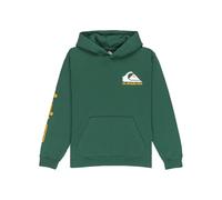 Quiksilver Omni Logo - Sweat à Capuche - Garçon Enfant 8-16 Ans - 10 - Vert