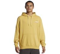Quiksilver Omni Sign PO Hoodie Pullover Sweater, Fall Leaf, XS Men's