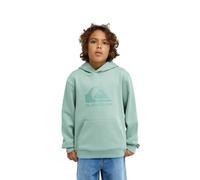 Quiksilver Pantalon Denim COMP Logo Hoodie Youth Garçon 8-16 Ans Vert