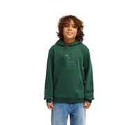 Quiksilver - Kid's Comp Logo Hoodie - Sweat à capuche - 16 - forest