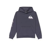 Quiksilver Pull en Polaire Omni Logo Hoodie Garçon 8-16 Ans Noir 12