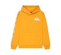 Quiksilver Pull en Polaire Omni Logo Hoodie Youth Garçon 8-16 Ans Jaune