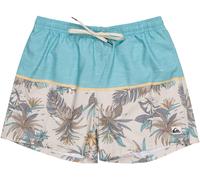 Quiksilver Reef Shorts Bleu Marine Moyen Male
