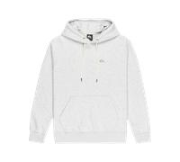 Quiksilver Salt Water Hoodie Gris S Homme