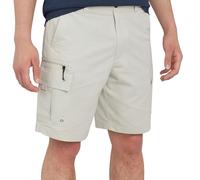 Quiksilver Short Cargo Hybride pour Homme, Coupe Classique, Taille Fixe, résistant à l'eau (32-42, Bouleau argenté, 50 FR