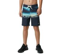 Quiksilver Everyday 13´´ Swimming Shorts Bleu 24 Months Garçon
