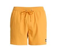 Quiksilver Everyday Flex Volley 15´´ Swimming Shorts Jaune L Homme