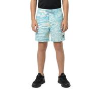 Quiksilver Short De Bain Everyday Printed Volley 14´´