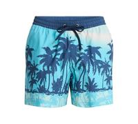Quiksilver Short de Bain Everyday Printed Volley 15 Bleu