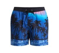 Quiksilver Short de Bain Everyday Printed Volley 15 Bleu