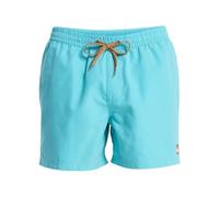 Quiksilver Short de Bain Everyday Volley 15 Homme Bleu