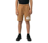 Quiksilver Short De Sport Easy Day Youth